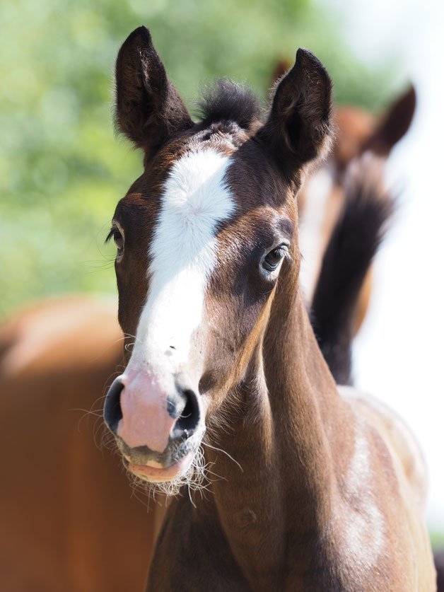 Reproduktionsmedizin